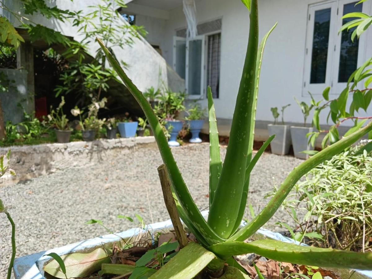 Villa Diamond Nest Unawatuna Eksteriør billede